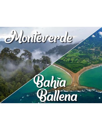 Monteverde / Bahía Ballena