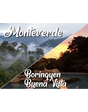 Monteverde / Borinquen –...