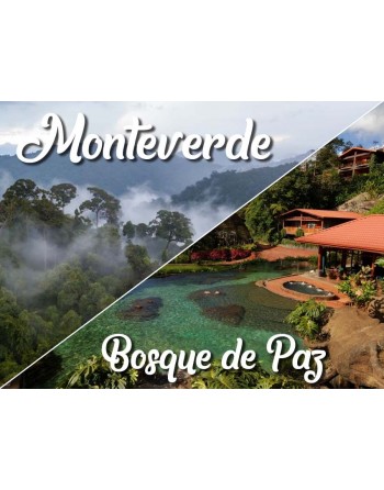 Monteverde / Bosque de Paz