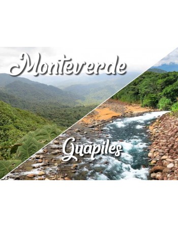 Monteverde / Guápiles