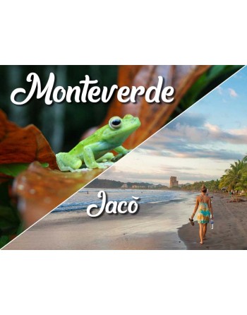Monteverde / Jaco Beach