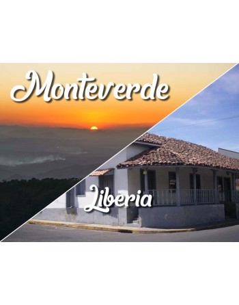 Monteverde / Liberia