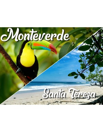 Monteverde / Santa Teresa