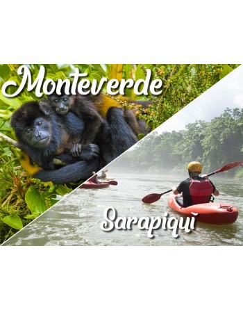 Monteverde / Sarapiquí