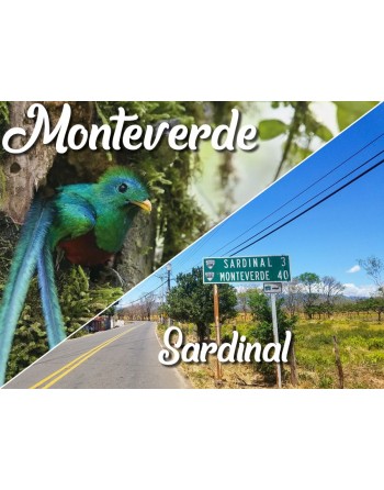 Monteverde / Sardinal