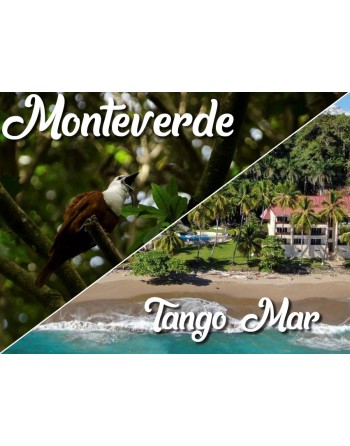 Monteverde / Tango Mar