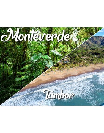 Monteverde / Tambor