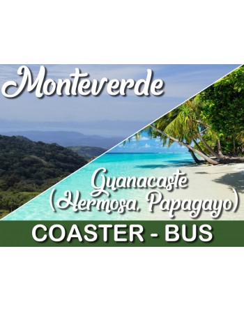 Coaster - Monteverde /...