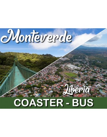 Coaster - Monteverde / Liberia