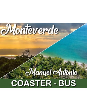 Coaster - Monteverde /...