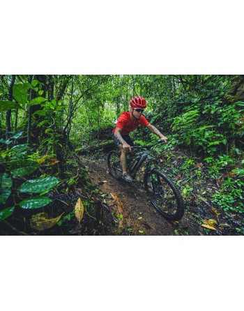 Monteverde E-Bike - Bosque...