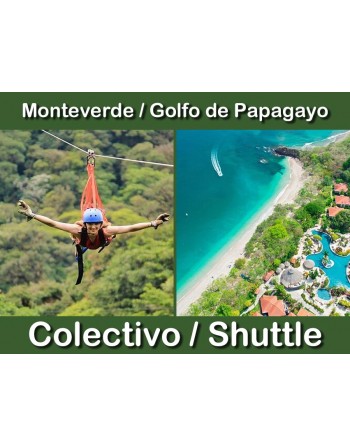 Shared - From Monteverde to...