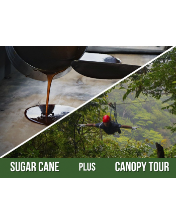 Combo: Canopy Tour & Coffee...